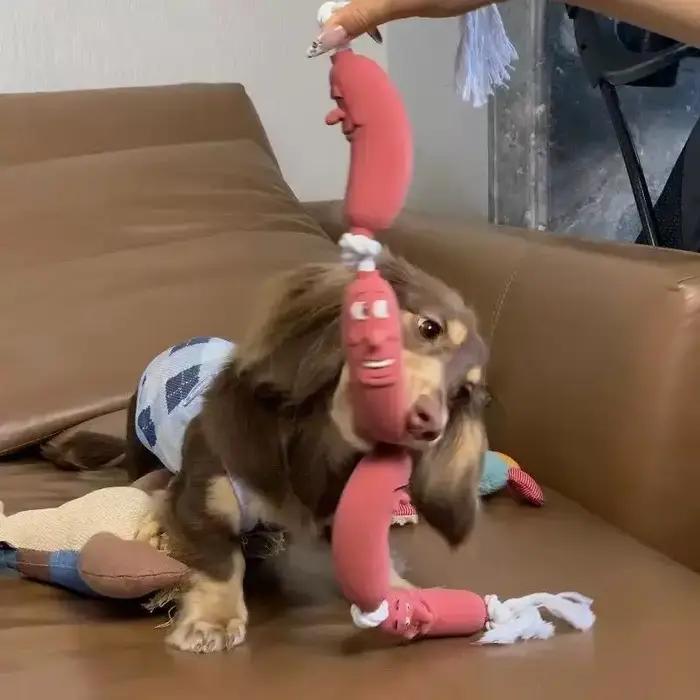 Jouet de saucisse pour chien-jouet drôle de remorqueur de guerre