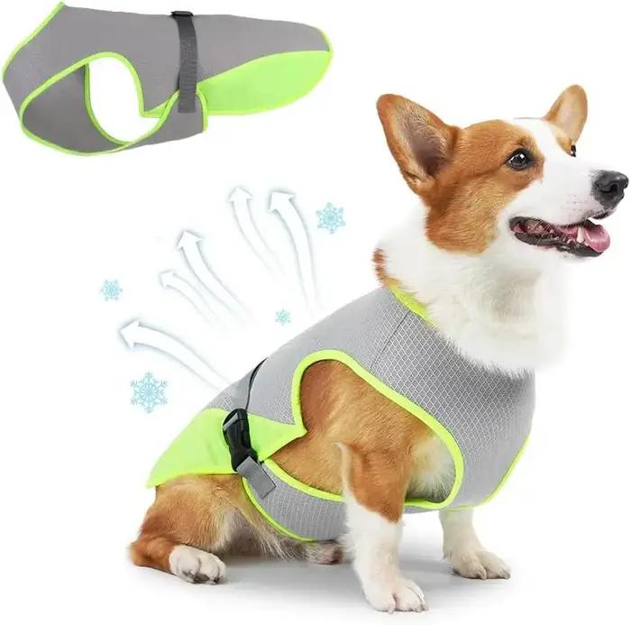 Gilet rafraîchissant pour chien