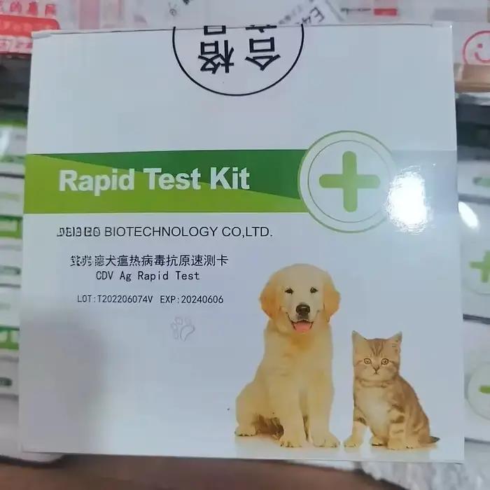 Carte de test de détection du parvovirus canin CPV, 20 copies