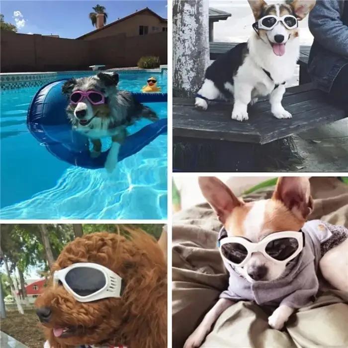 Lunettes de soleil pliables pour animaux de compagnie