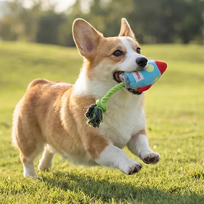 Jouet en peluche pour chien en forme de fusée