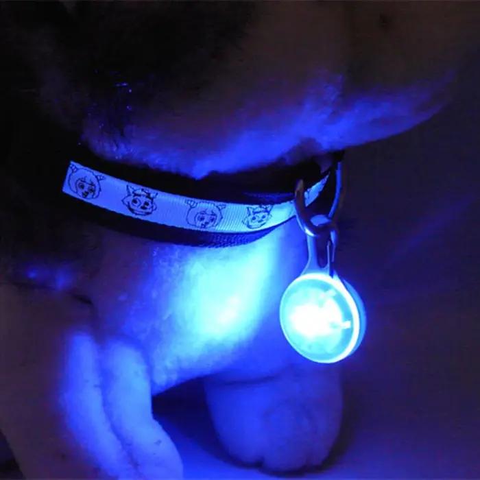 Lampe de poche LED suspendue pour chien et chat