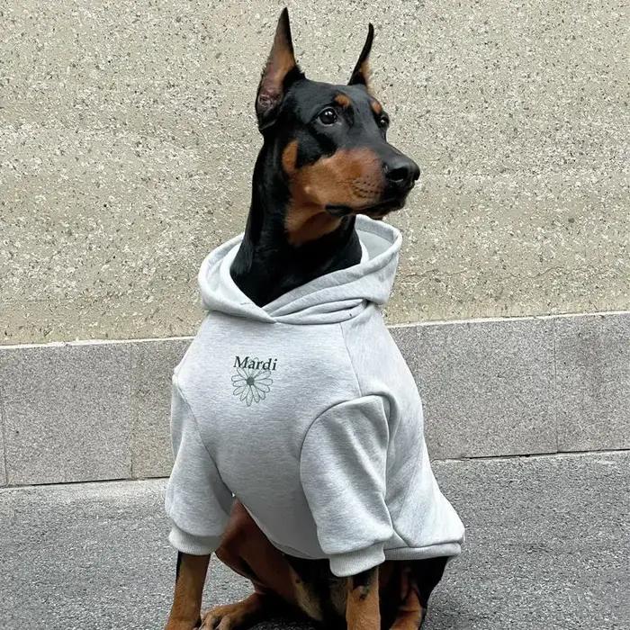 Grand chien à capuche hiver vêtements chauds pour Doberman berger allemand sweat-shirt à la mode