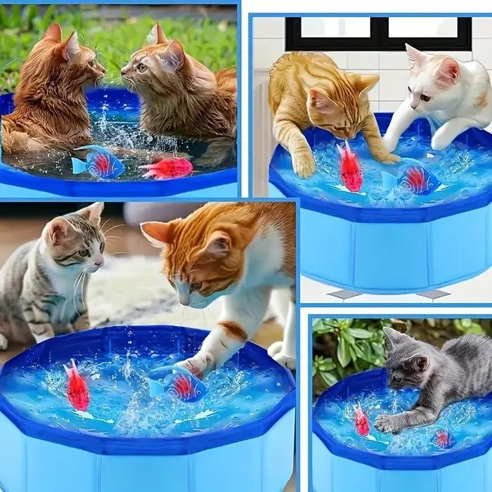 Piscine pour animaux de compagnie