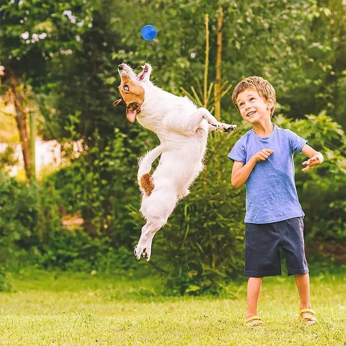 Balle en caoutchouc Gabe pour chiens, résistante, pour nettoyage naturel des dents, jeu en plein air, diverses tailles et couleurs, idéale pour entraînement et cadeau pour animaux de compagnie