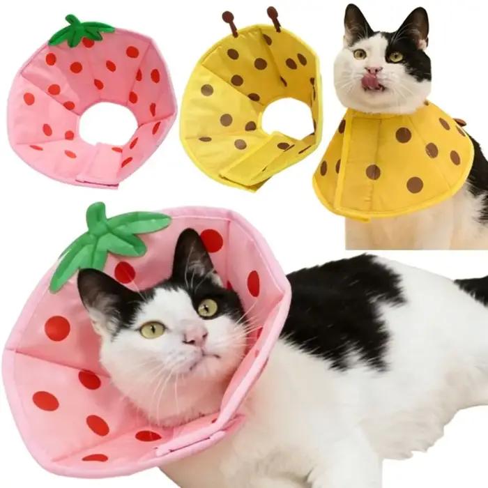 Collier de protection confortable pour chat et chien