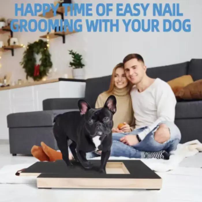 Jouet de grattage en bois avec boîte à friandises et lime à ongles pour chiens usage quotidien et cadeau occasionnelle