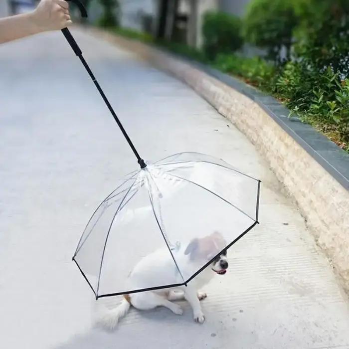 Parapluies détachables transparents pour chien