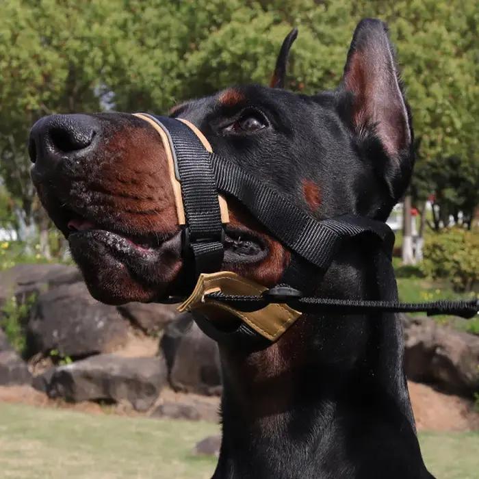 Muselière en nylon pour chiens de toutes tailles ajustables avec sangles réfléchissantes pour promenades sécurisées et entraînement de comportement