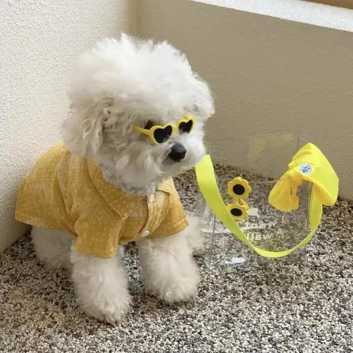 Lunettes de soleil créatives pour chiens avec protection UV et styles élégants pour promenades et occasions spéciales