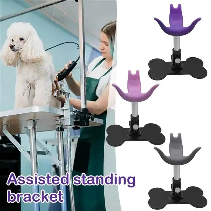 Tabouret de toilettage pour chiens