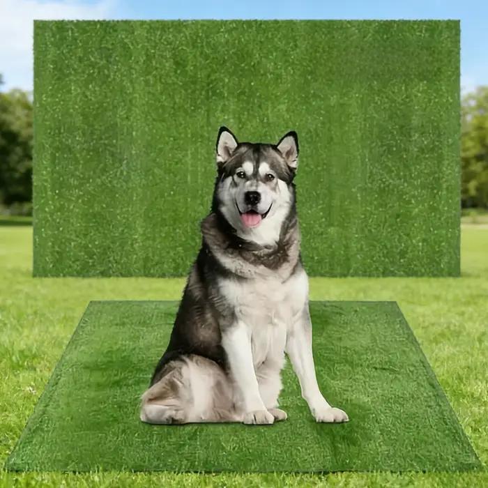 Tapis d'entraînement à la propreté lavable pour chien