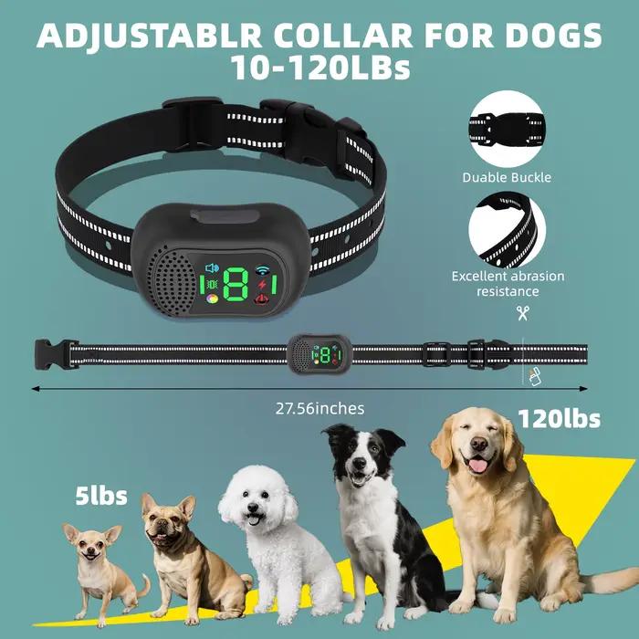 Collier de dressage pour chien 4900FT pour chiens de petite