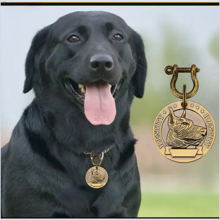 Lot de 5/10 Étiquettes d'identification personnalisables pour animaux de compagnie