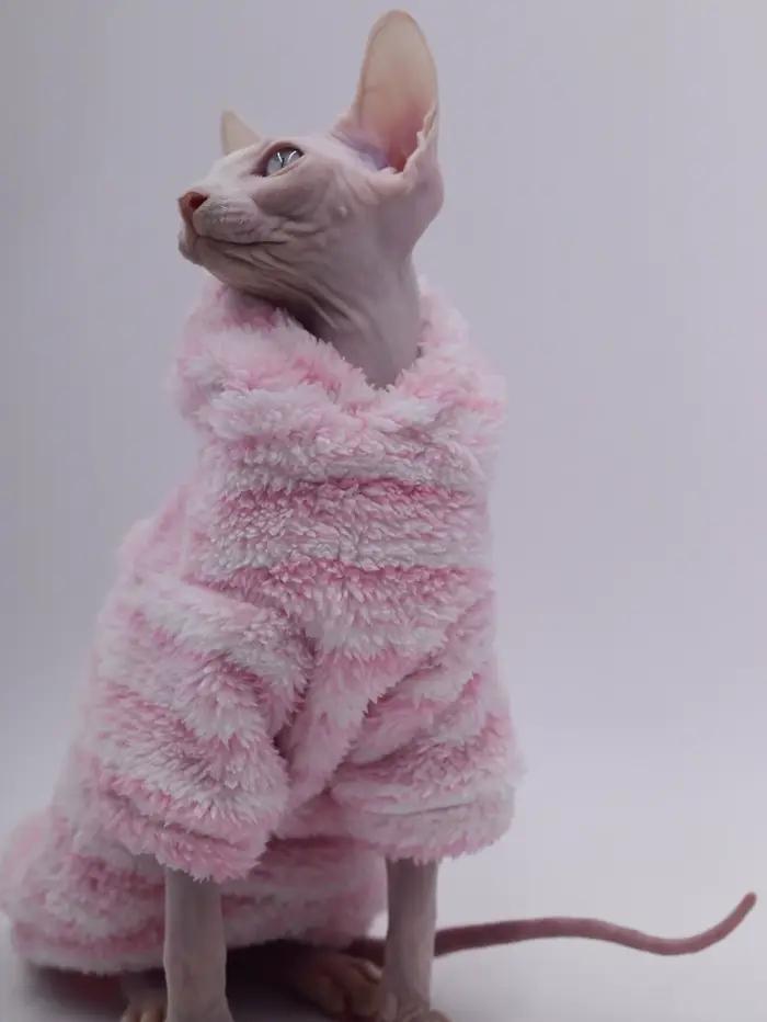 Cardigan en laine de vison pour animaux de compagnie, veste épaisse pour chat Sphinx, vêtements sans