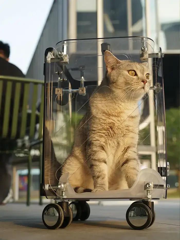 Chariot de voyage transparent pour animaux de compagnie