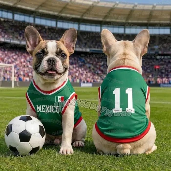 Vêtements pour chiens respirants en maille 10 mailles Mexique – Maillot de sport pour Schnauzer
