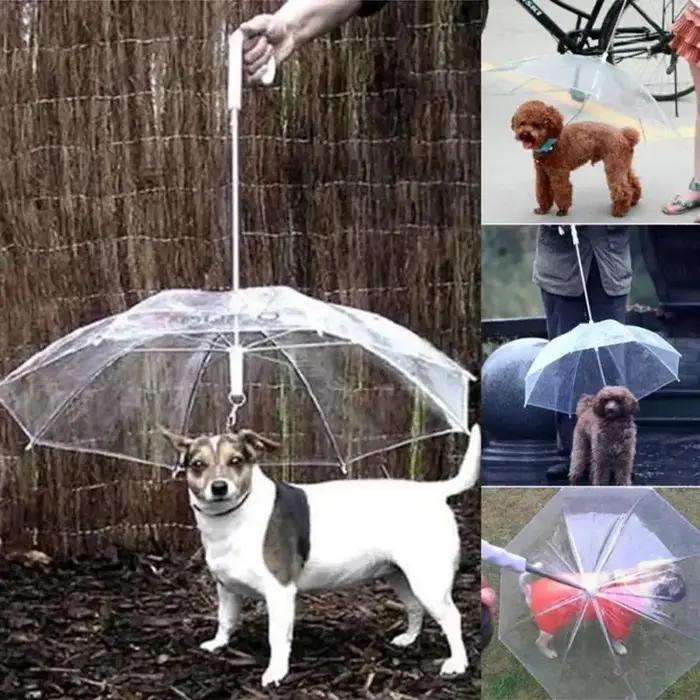 Garde-boue en peluche créatif pour petits chiens