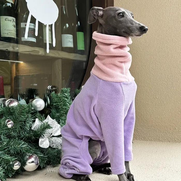 Vêtements pour chiens pour Greyho italien avec chapeau