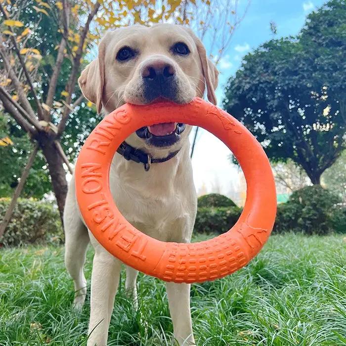 Jouets pour chiens : Anneaux en caoutchouc pour mâcher
