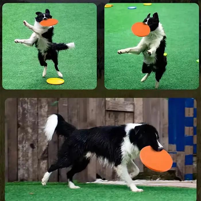 Disque volant interactif pour animaux de compagnie