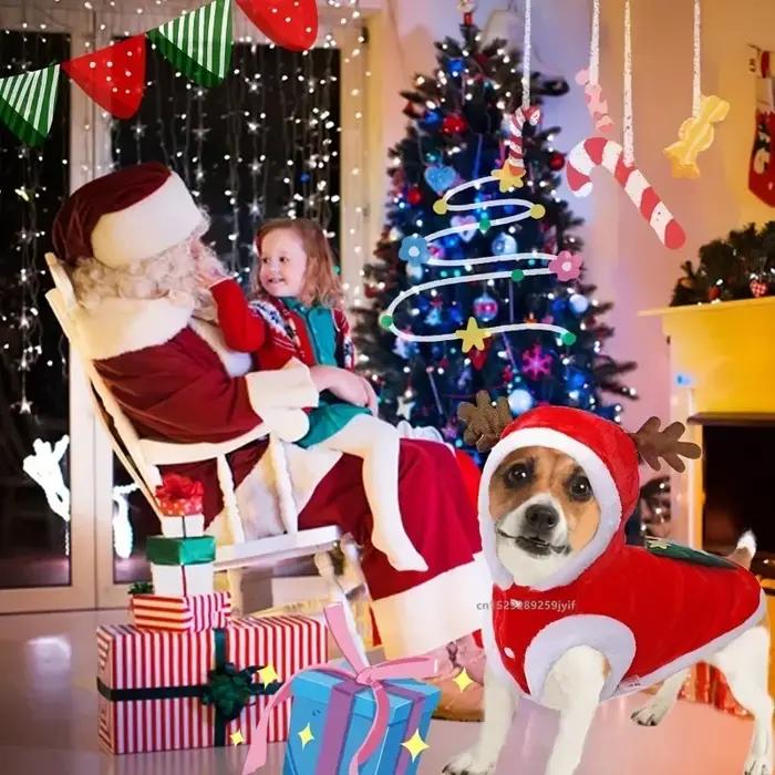Costume de noël pour chien