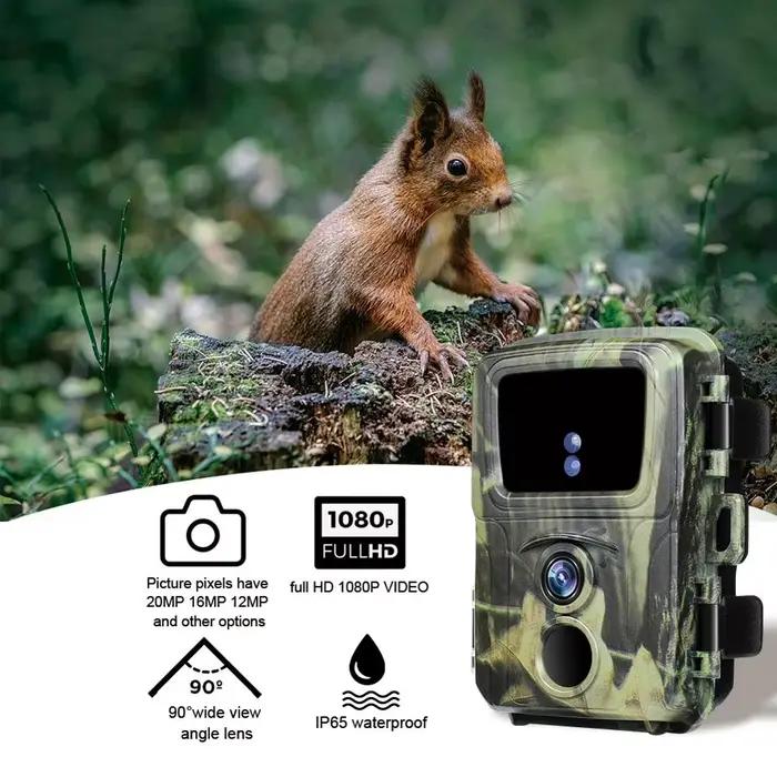Mini caméra de chasse et de suivi des sentiers du gibier