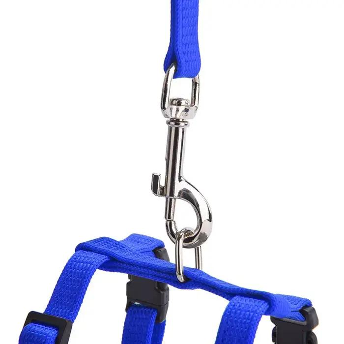 Ensemble harnais et laisse pour chat de compagnie