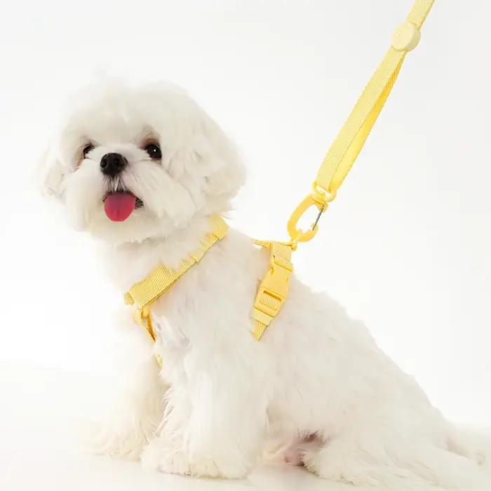 Ensemble de laisse de collier de harnais réglable pour chien