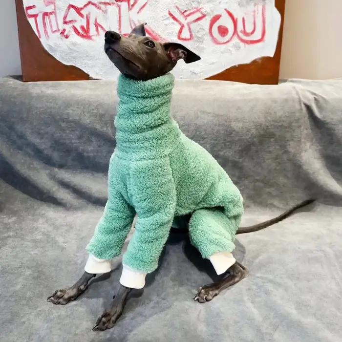 Vêtements d'hiver pour chiens souriants double face