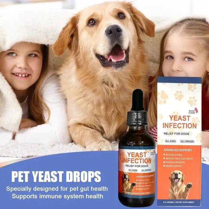 Gouttes liquides de 60 ml pour chiens et chats contre les infections à levures – Complément pour la santé intestinale