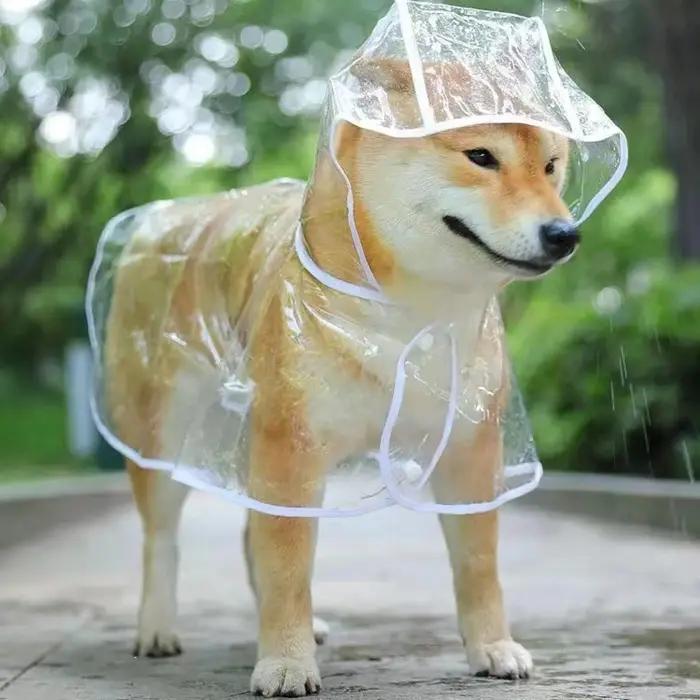 Vêtements de pluie transparents pour animaux de compagnie, veste imperméable à capuche pour animaux