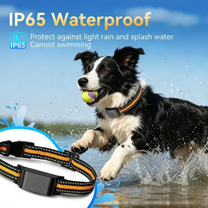 Collier GPS pour chat, étanche IP67