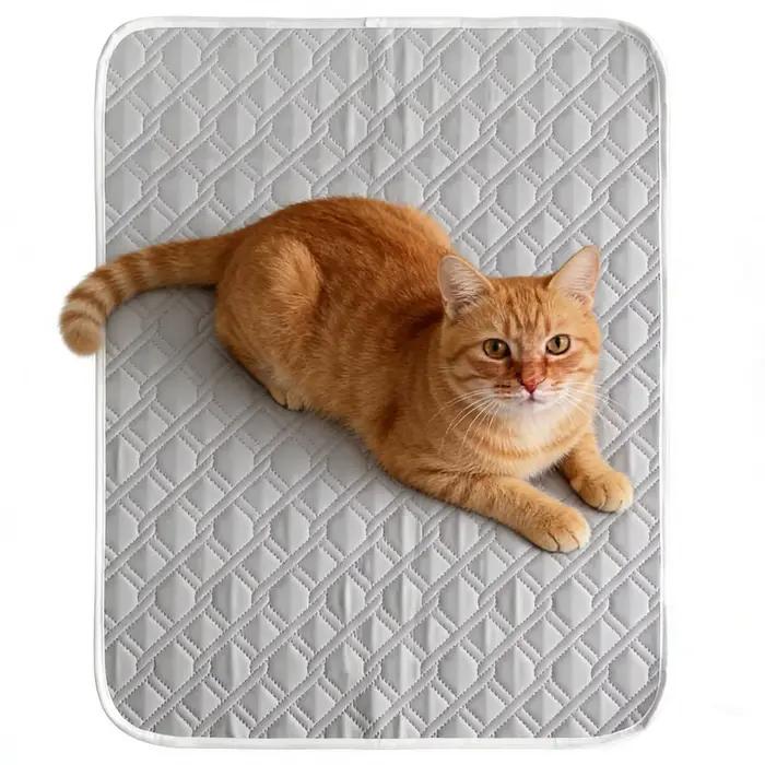 Tapis rafraîchissant d'été pour chien