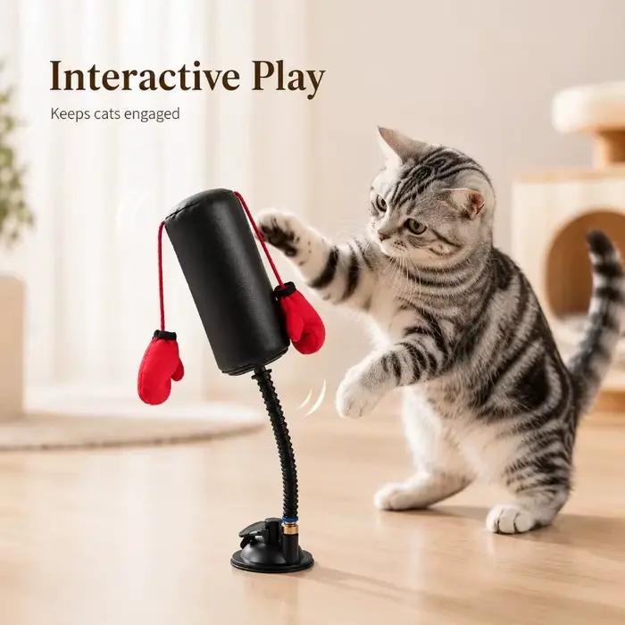 Jouet de boxe interactif pour chat avec gants