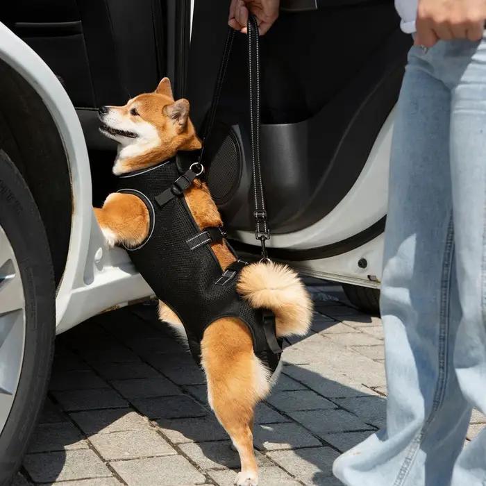 Vêtements auxiliaires pour animaux de compagnie de haute qualité pour chiens handicapés âgés