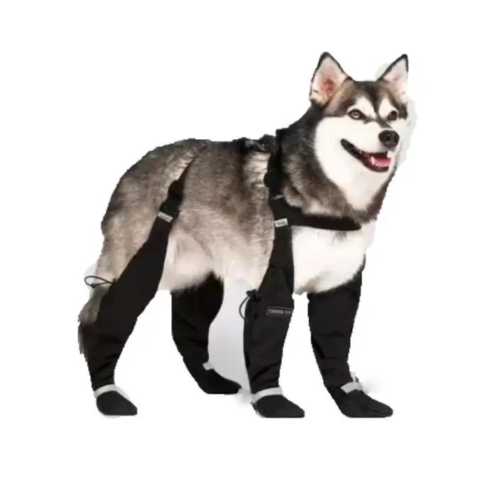 Chaussures réfléchissantes pour chiens bottes antidérapantes robustes et décontractées couleur unie sécurité visibilité nocturne occasions spéciales chiens