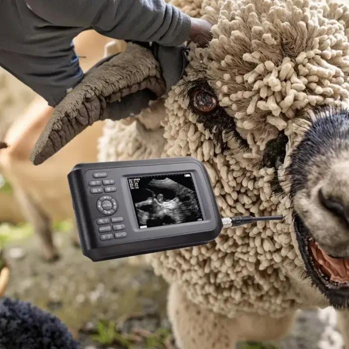 Echographe Portable pour Animaux Adapté aux Vaches et Autres Betail Soins et Fournitures Vetérinaires Usage à La Maison Ou Sur Une Ferme