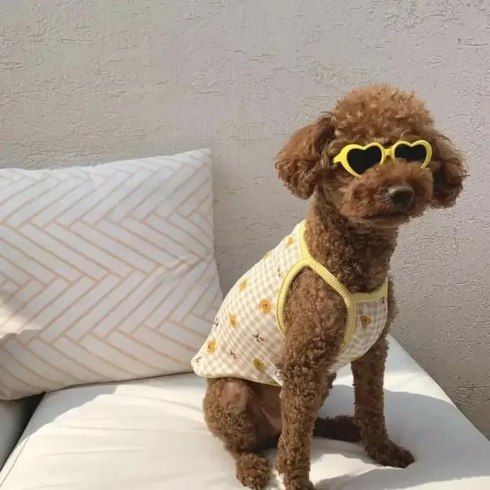 Lunettes de soleil créatives pour chiens avec protection UV et styles élégants pour promenades et occasions spéciales