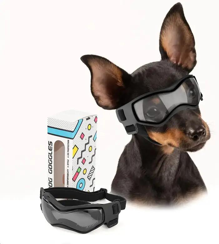 Lunettes de Protection UV pour chiens et chats