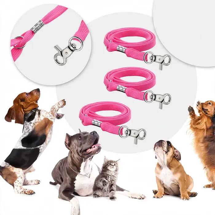 Corde de sécurité en nylon pour chats et chiots personnalisable harnais de retenue pour bain et toilettage ajustable en blanc lavande multicolore violet
