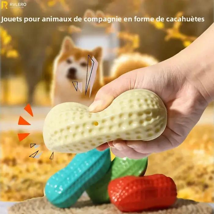 Jouet à mâcher pour chien