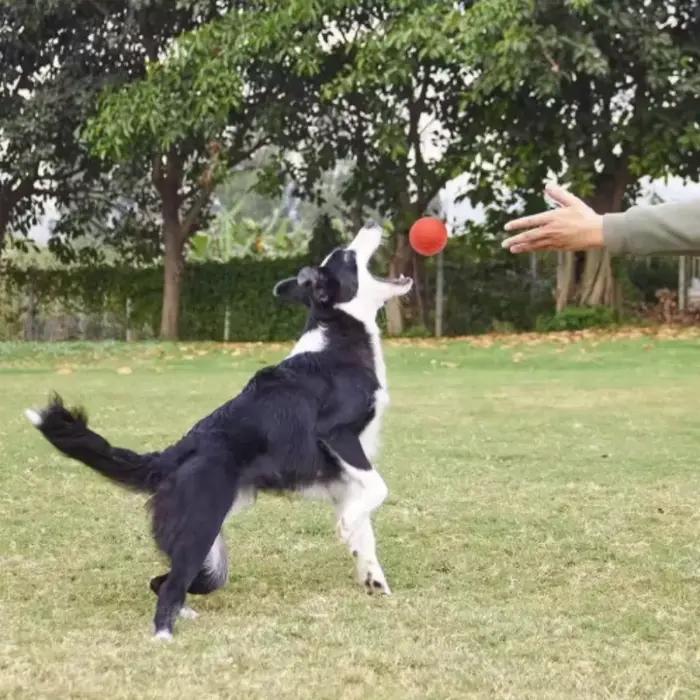 Balle en caoutchouc résistante pour chiens rouge pour chiots et grands chiens occasions de jeu et cadeaux pour animaux de compagnie