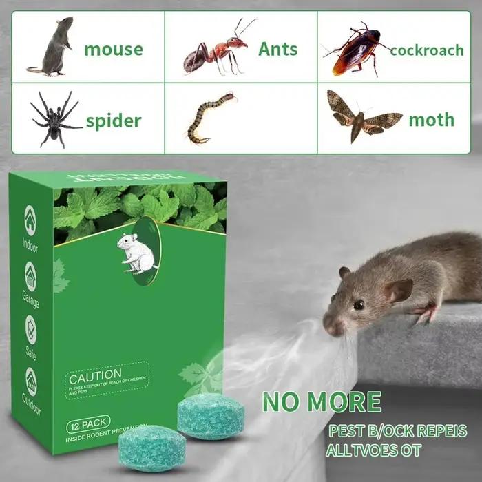Boules répulsives pour rongeurs et insectes, protection durable pour intérieur et extérieur, piège anti-nuisibles, boules de camphre pour usage domestique et commercial