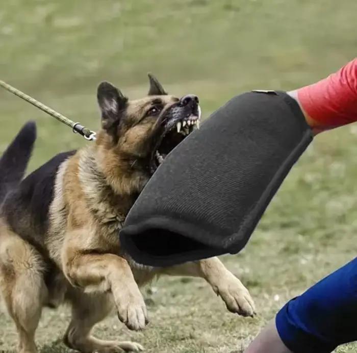 Manchon de dressage pour chien en jute durable