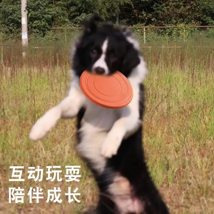 OUWO chien jouets multicolore Frisbeed intéressant