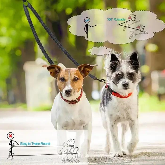 Nouvelle laisse de traction double pour animaux de compagnie