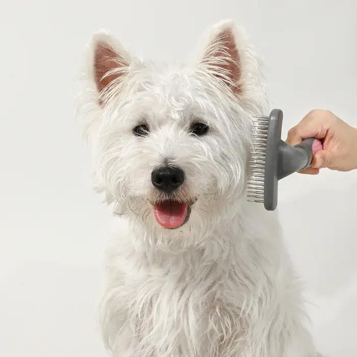 Brosse démêlante rotative à double rangée de 39 picots pour chiens et chats à poils longs – Outil de toilettage et de