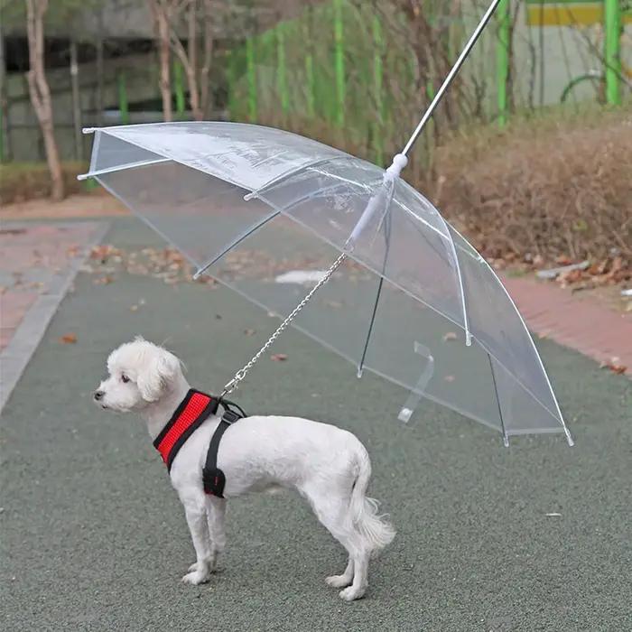 Laisse de parapluie pour animaux de compagnie