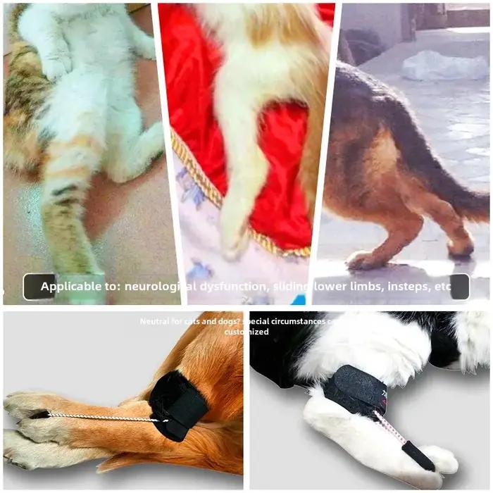 Support de jambe arrière pour chien handicapé